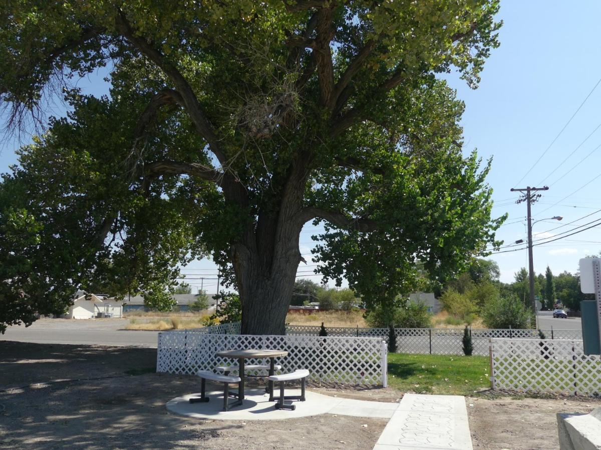 Big Chief Motel — photo 13