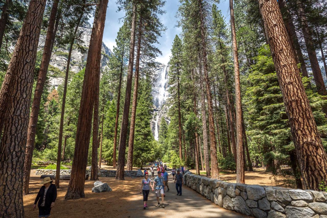Rush Creek Lodge at Yosemite — photo 21