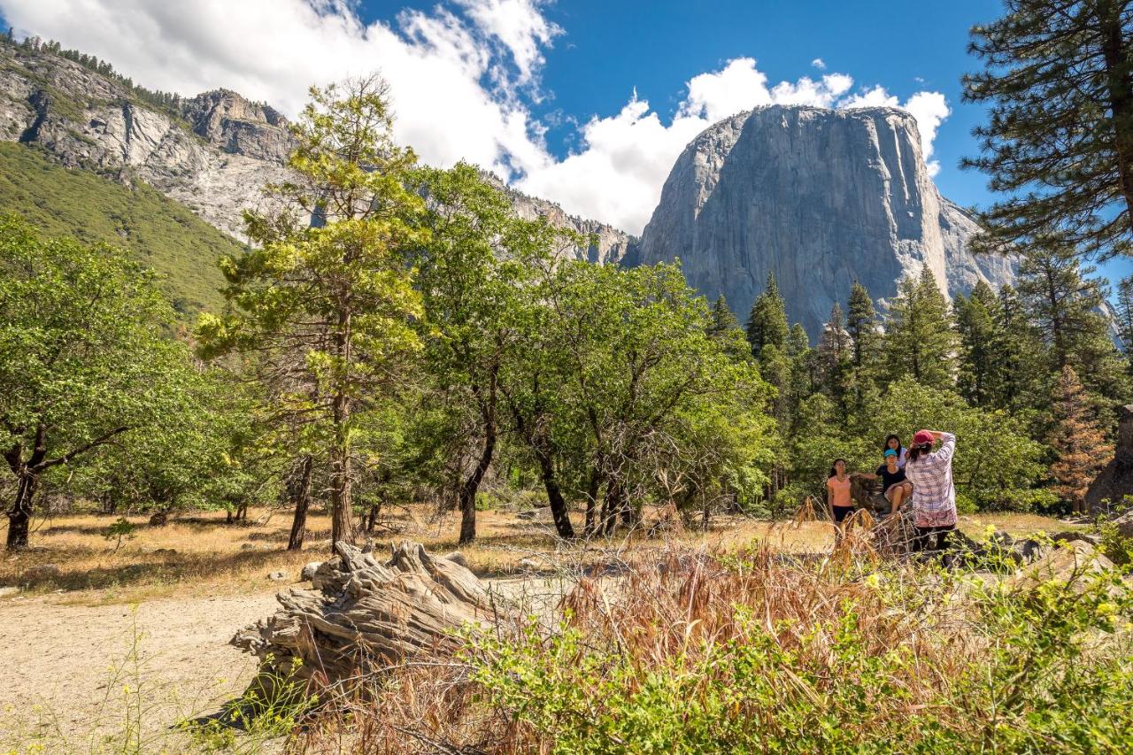 Rush Creek Lodge at Yosemite — photo 22