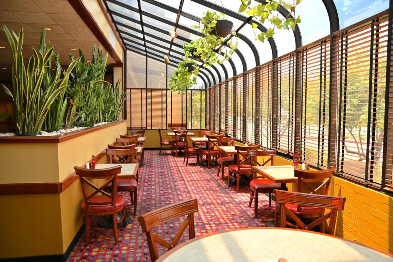 MCM Elegante Hotel & Suites Lubbock — photo 20
