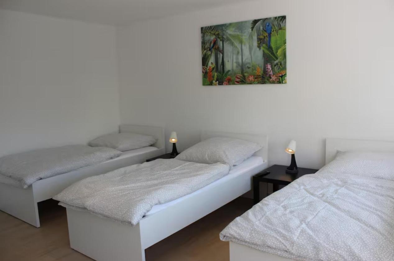 Beautiful Airportflats near Köln
