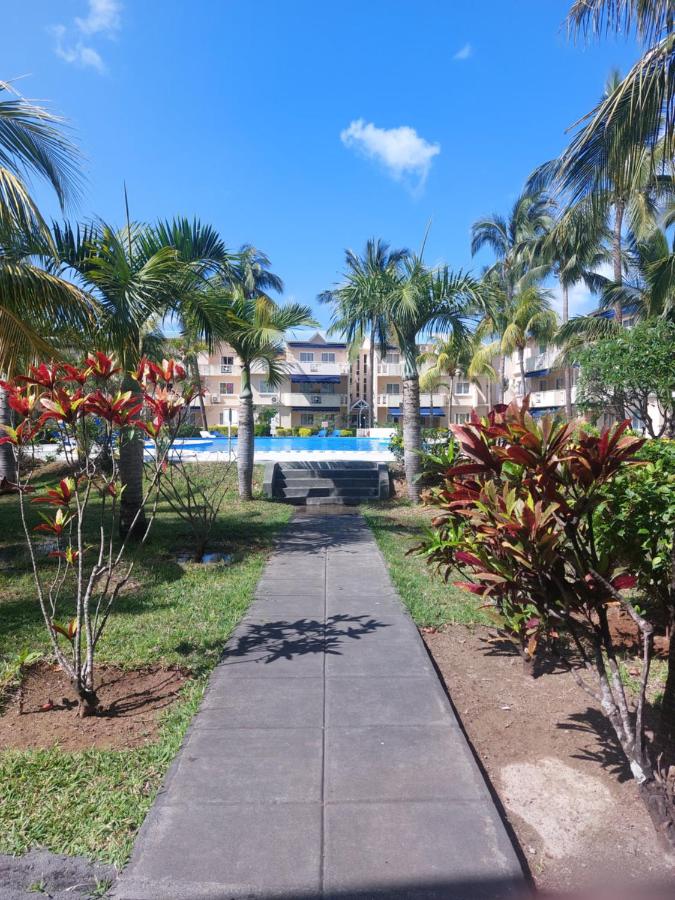 Le Dattier - Three bedroom apartment - Coquillage - 4