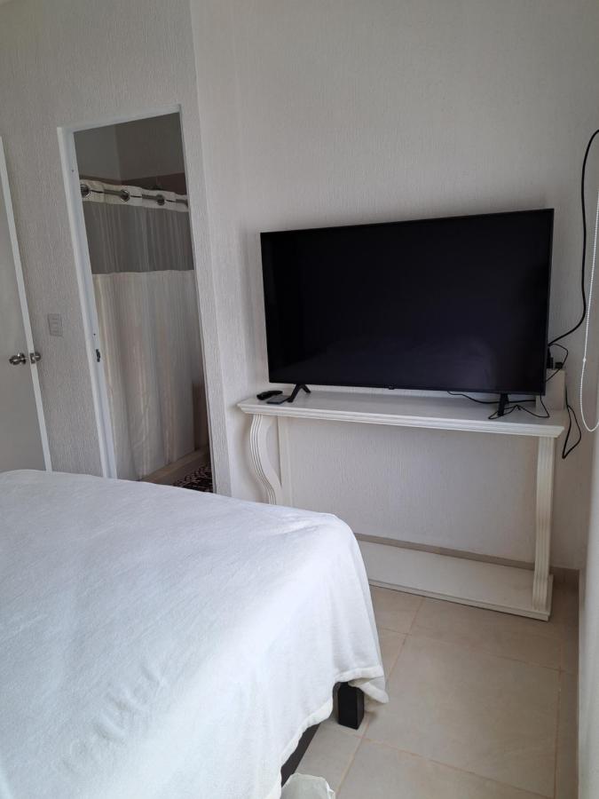 Jardines del sur - 4