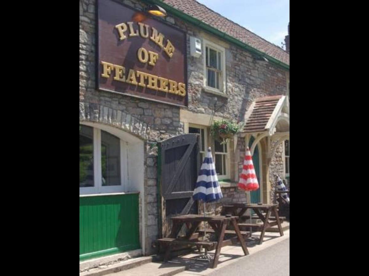 Plume of Feathers - Laterooms