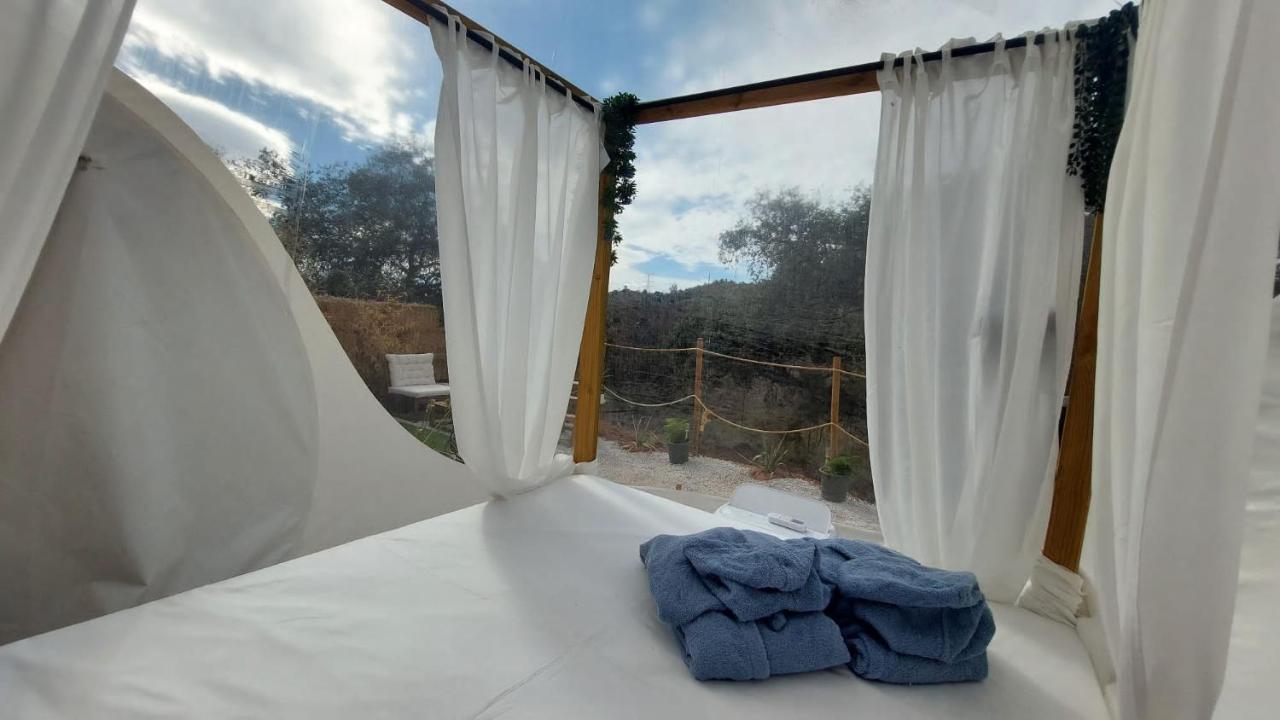 Glamping Burbuja Los Almendros - 5