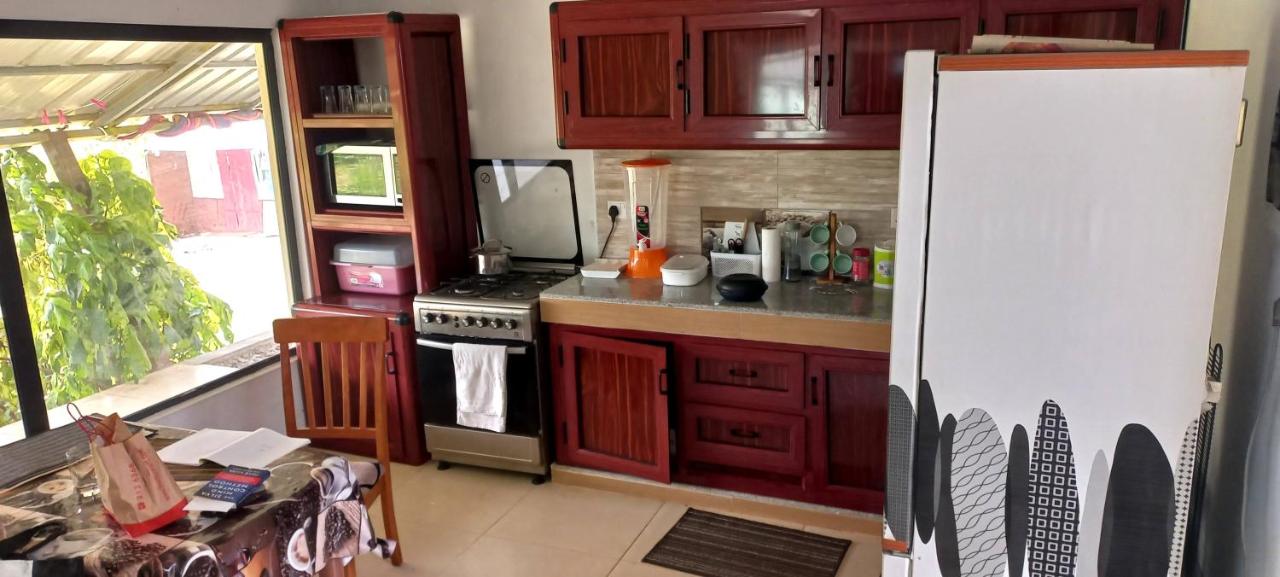 Nature Lover- Creve Coeur - 3