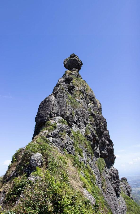 Nature Lover- Creve Coeur - 4