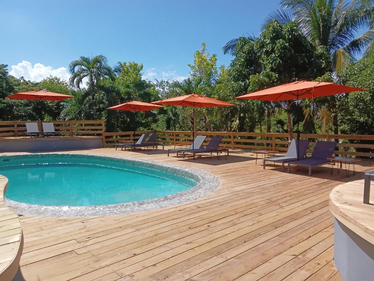 LF Jungle Retreat - 4