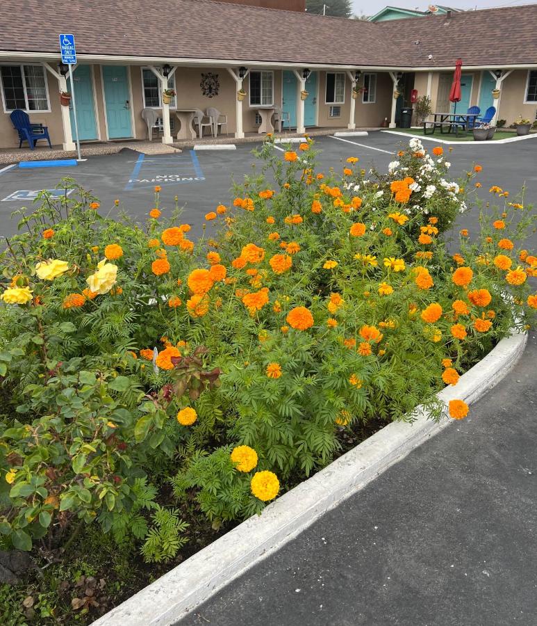 Central Coast Inn Cayucos — photo 13