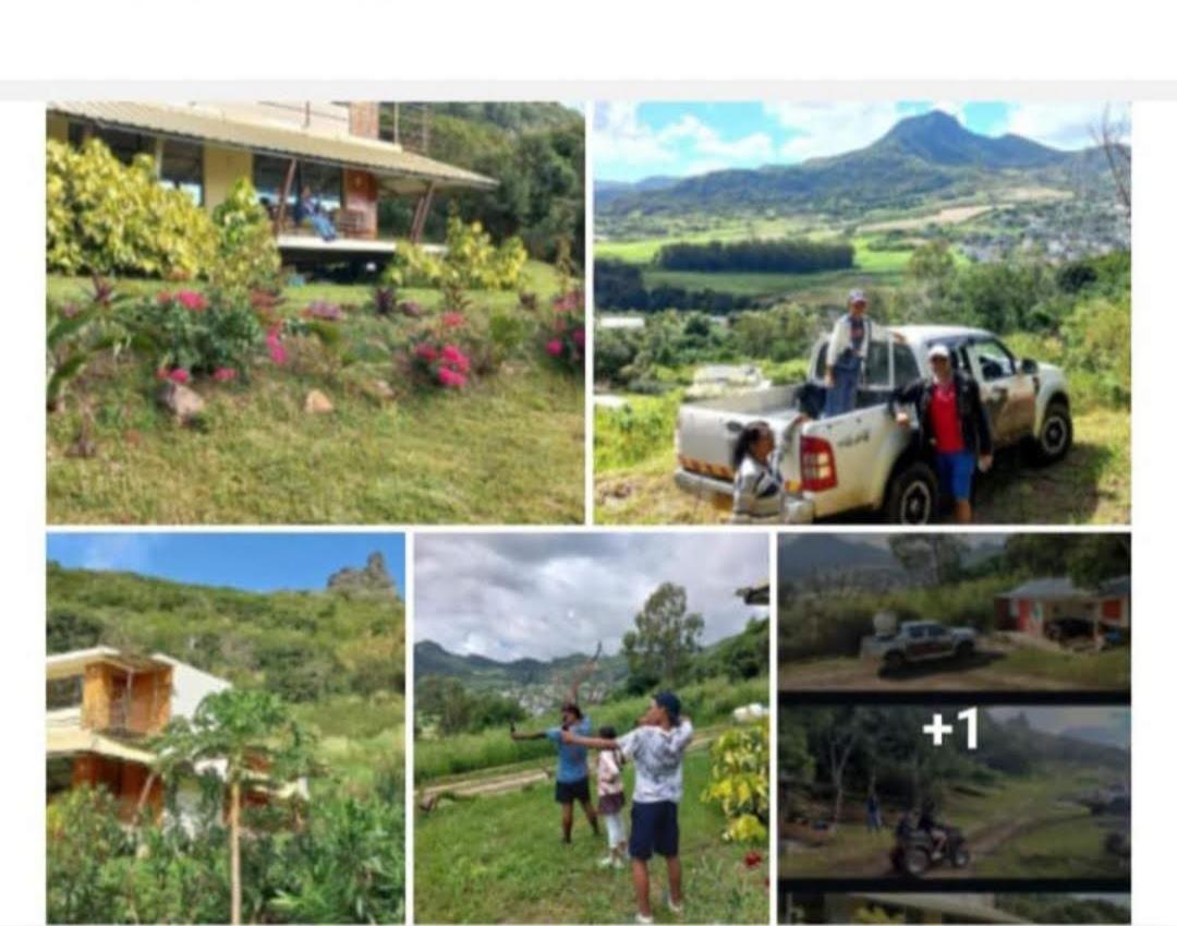 Nature Lover- Creve Coeur - 5