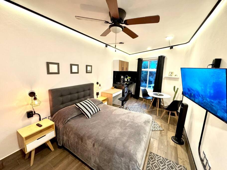 Fabuloso estudio en condesa