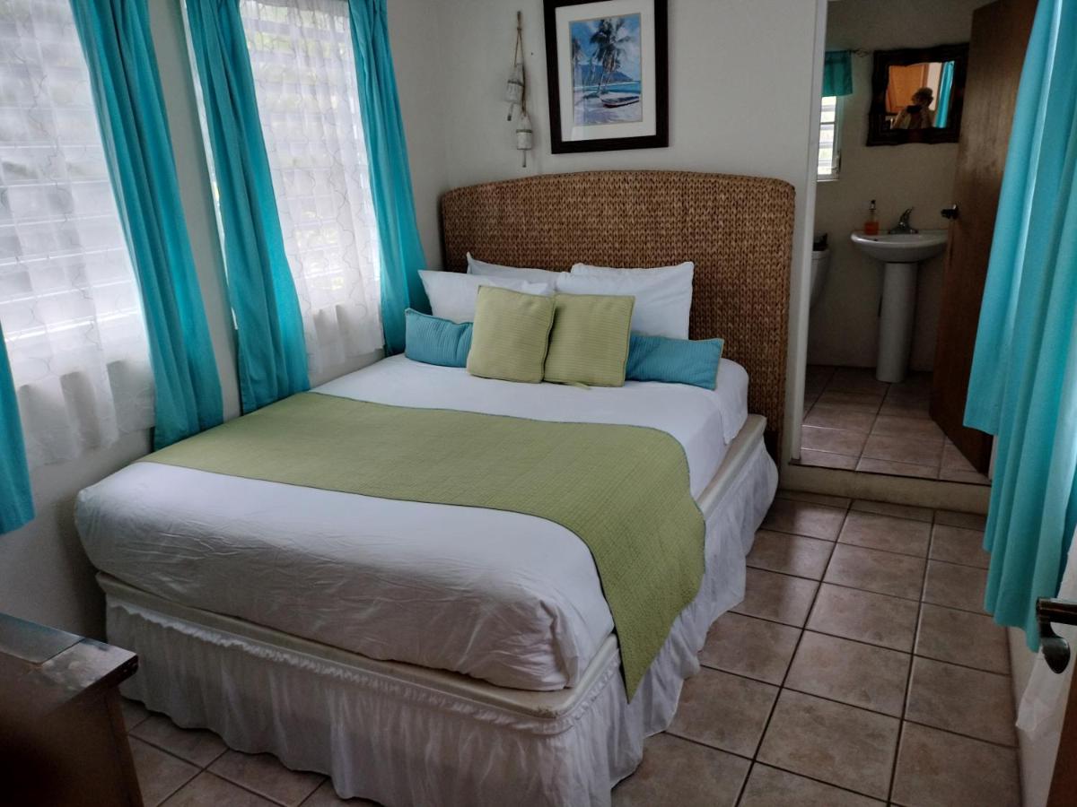 Casa de Tortuga Guesthouse - 3