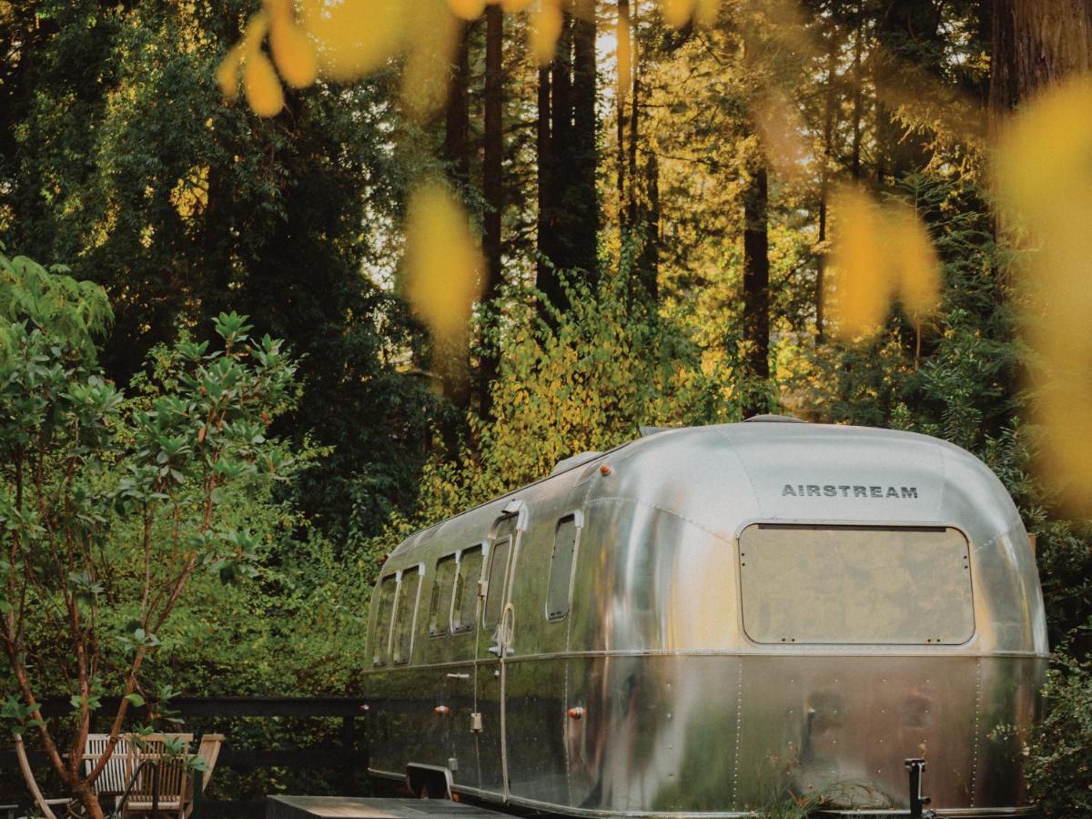 AutoCamp Yosemite — photo 14