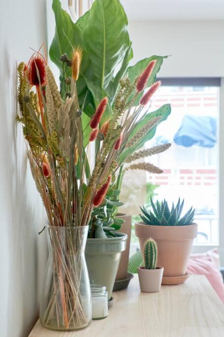 Luxury - Family friendly - Central - Cozy- Balcony - 4