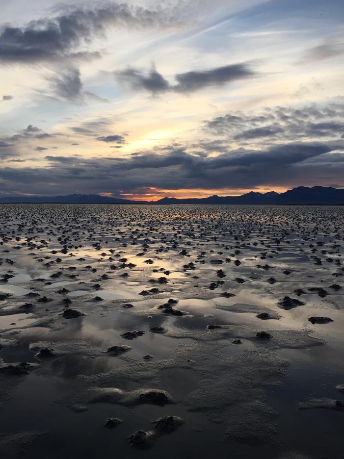 Beach: Hítarneskot Holiday Home