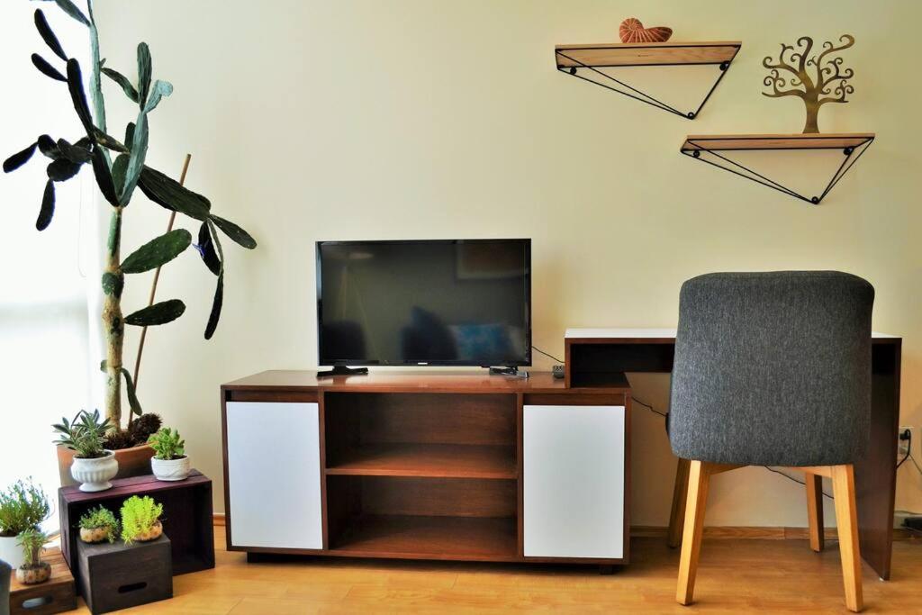 Spacious & bright Apt in Beautiful Colonia ROMA - 5