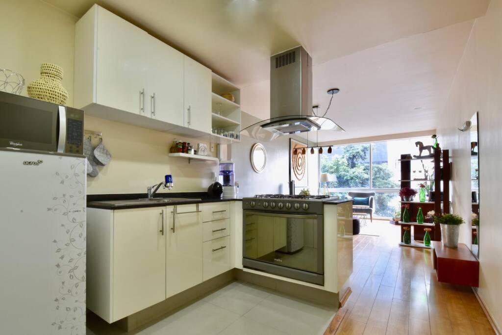 Spacious & bright Apt in Beautiful Colonia ROMA - 4