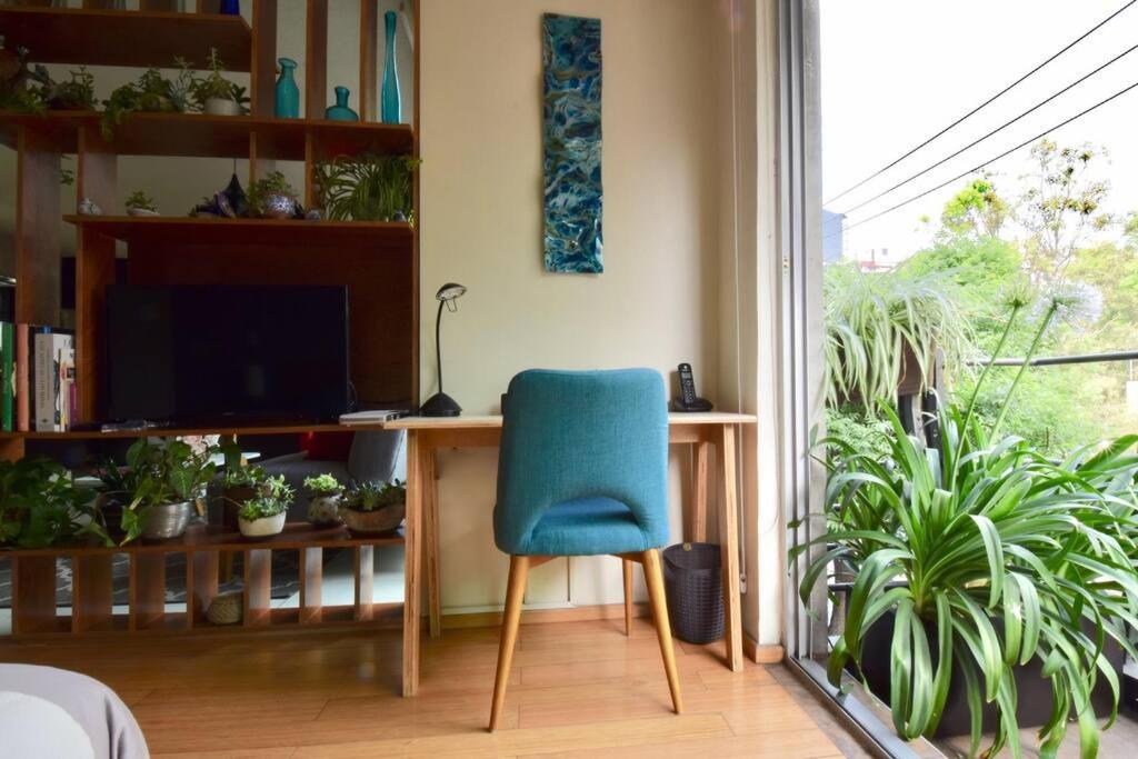 Beautiful LOFT in Trendy ROMA-CONDESA Elevator - 5