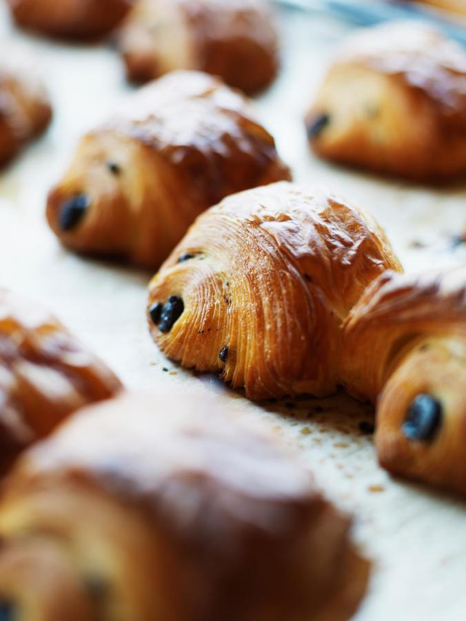 Ibis Chateauroux Chateauroux Updated 21 Prices