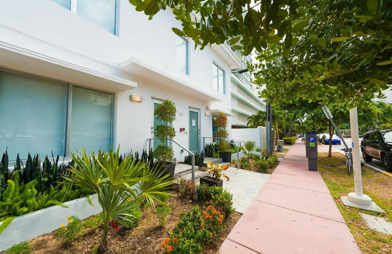 Agave on the Beach - 3