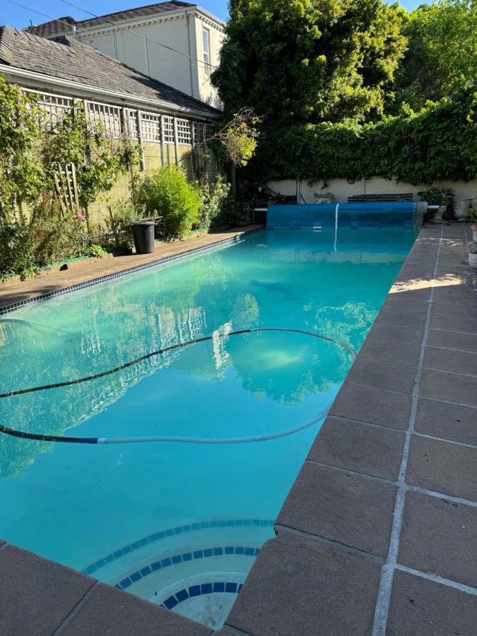 The Finsbury , Newlands - 3