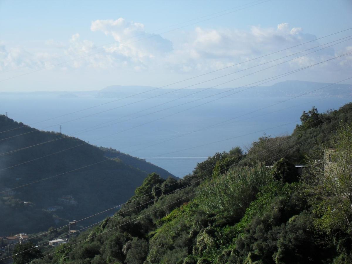 Casa Vacanza Puntaferano photo