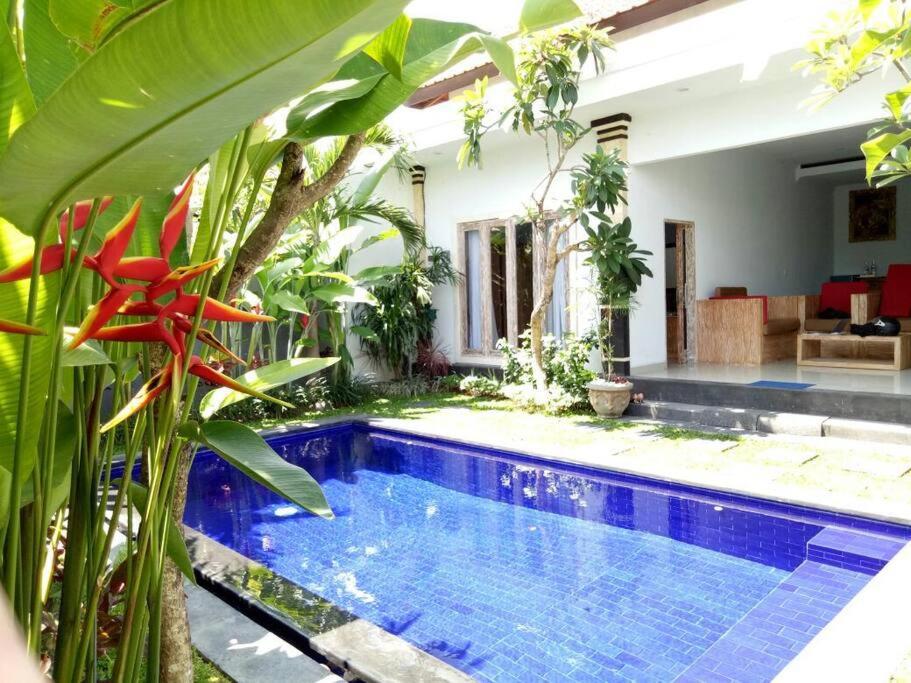 Stunning 2 Bedroom Private Pool Villa in Berawa - Casa la Lisa - 4