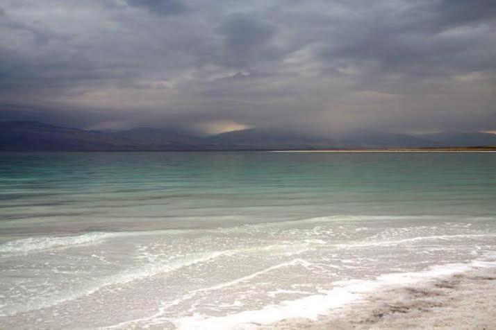 Hotel, plaża: Rose Dead Sea Neve Zohar
