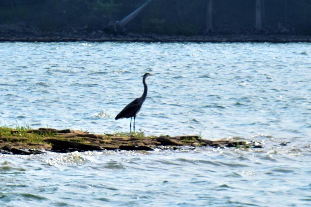 Serene Retreat in Hermitage - 2