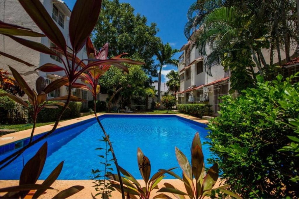 Casa Blanca Boutique & Organic - 2