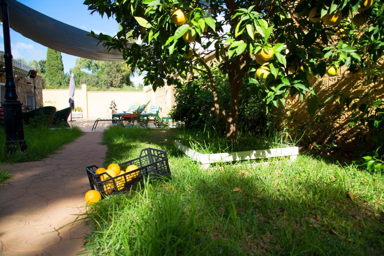 El Regreso el Pinar - 4