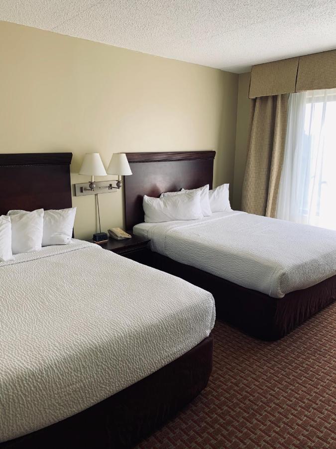 Euro-Suites Hotel — photo 19