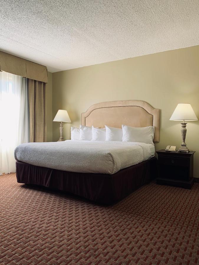 Euro-Suites Hotel — photo 2