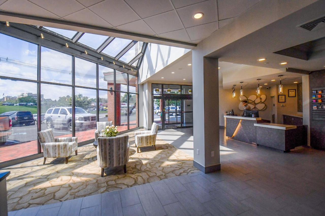 Euro-Suites Hotel — photo 15