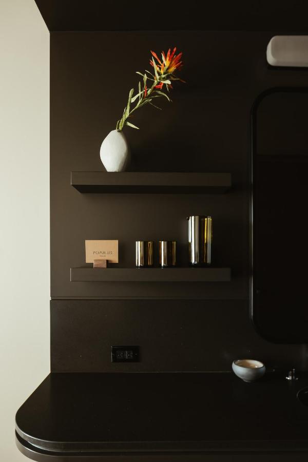 Populus Denver — photo 12