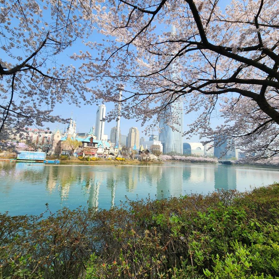 Dream Attic Seoul - 2