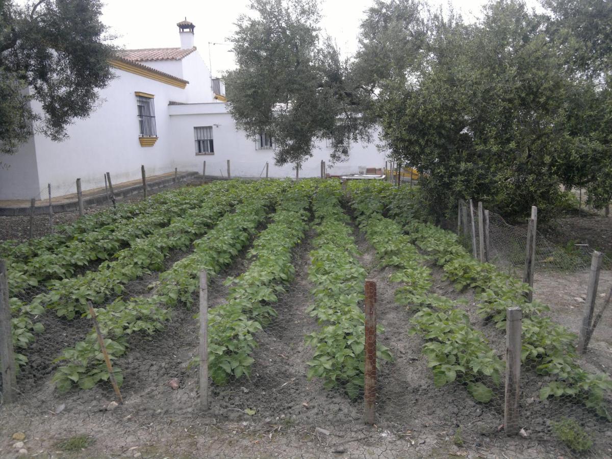 El Madrigal De Felisa, Espera – Updated na 2022 Prices