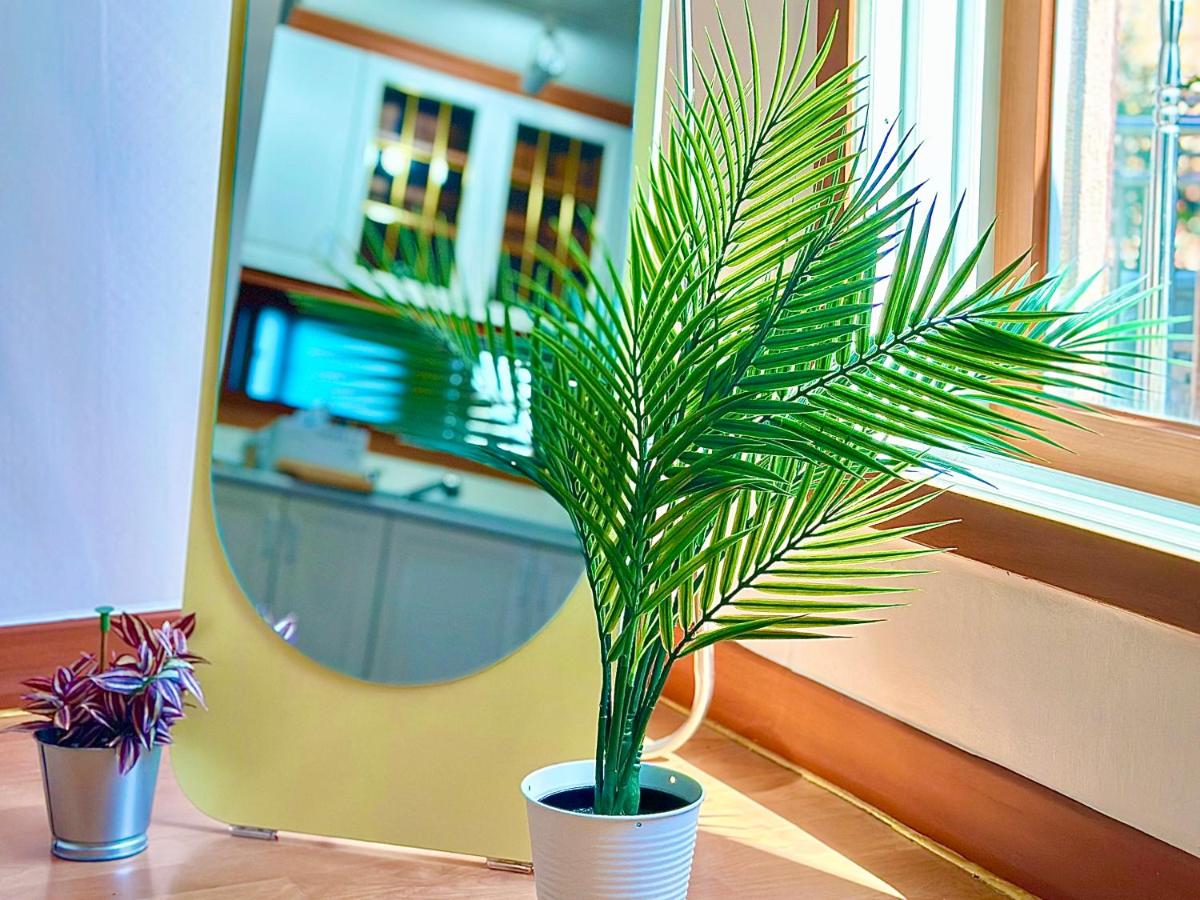 New, 3min to Hapjeong St, Airport bus stop, 8min to Hongdae & Mangwon Market, Han River Park, 2BR 3QB full of sunshine, Hotel bedding, City Nature - 4