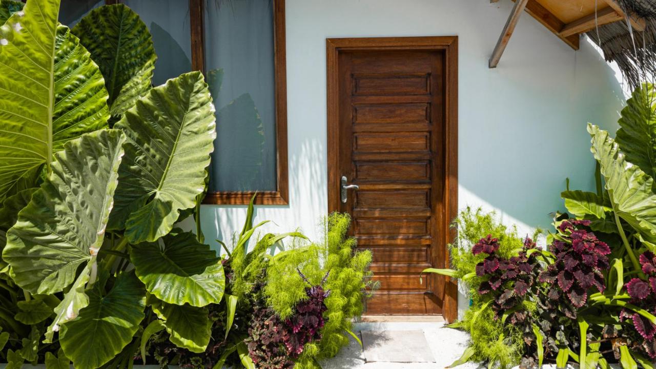 Beach Lily Dhigurah - 2