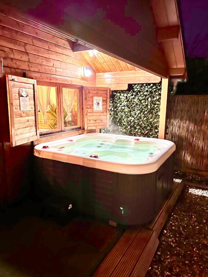 Cozy chalet with garden and jacuzzi near Amsterdam - 3