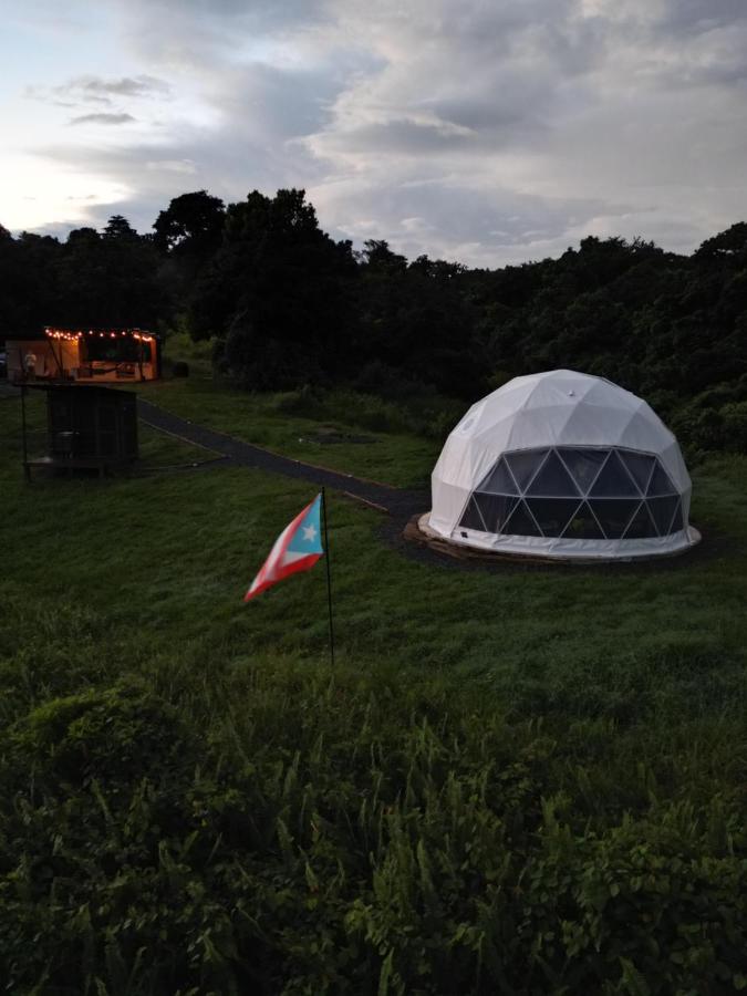Unique Glamping Experience & Romantic Dome with Nature Escape and River - 5