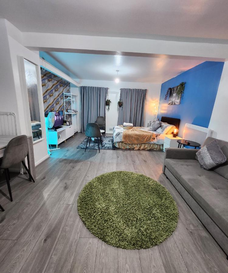 New Deluxe Studio Apt-2 - 5