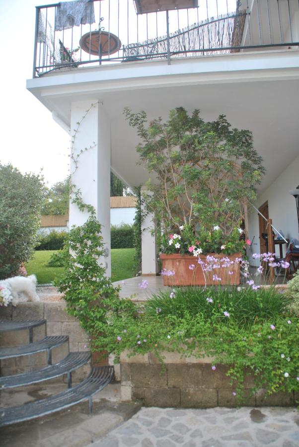 Casa Vacanze Villa Antonella by Gocce photo