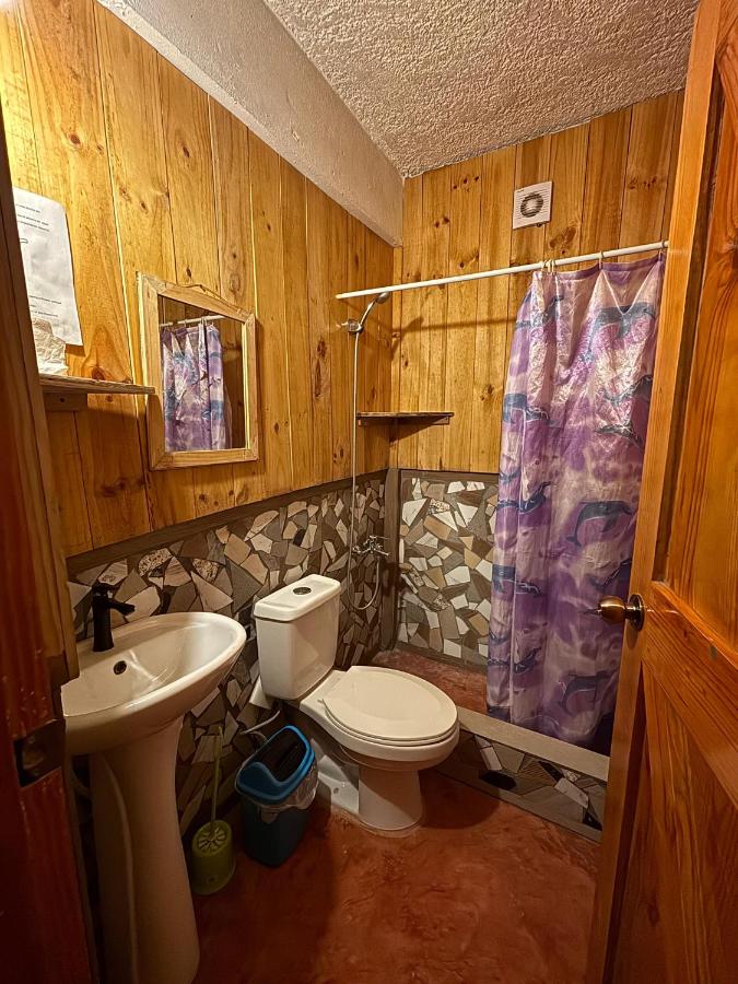 Hostel La Ballena Backpacker - 5