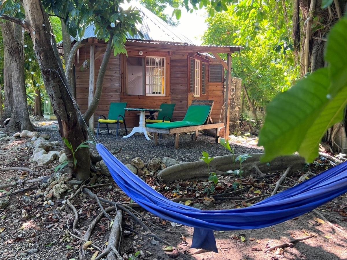 Real Jamaica - 5 Cabins right beside the sea - 3