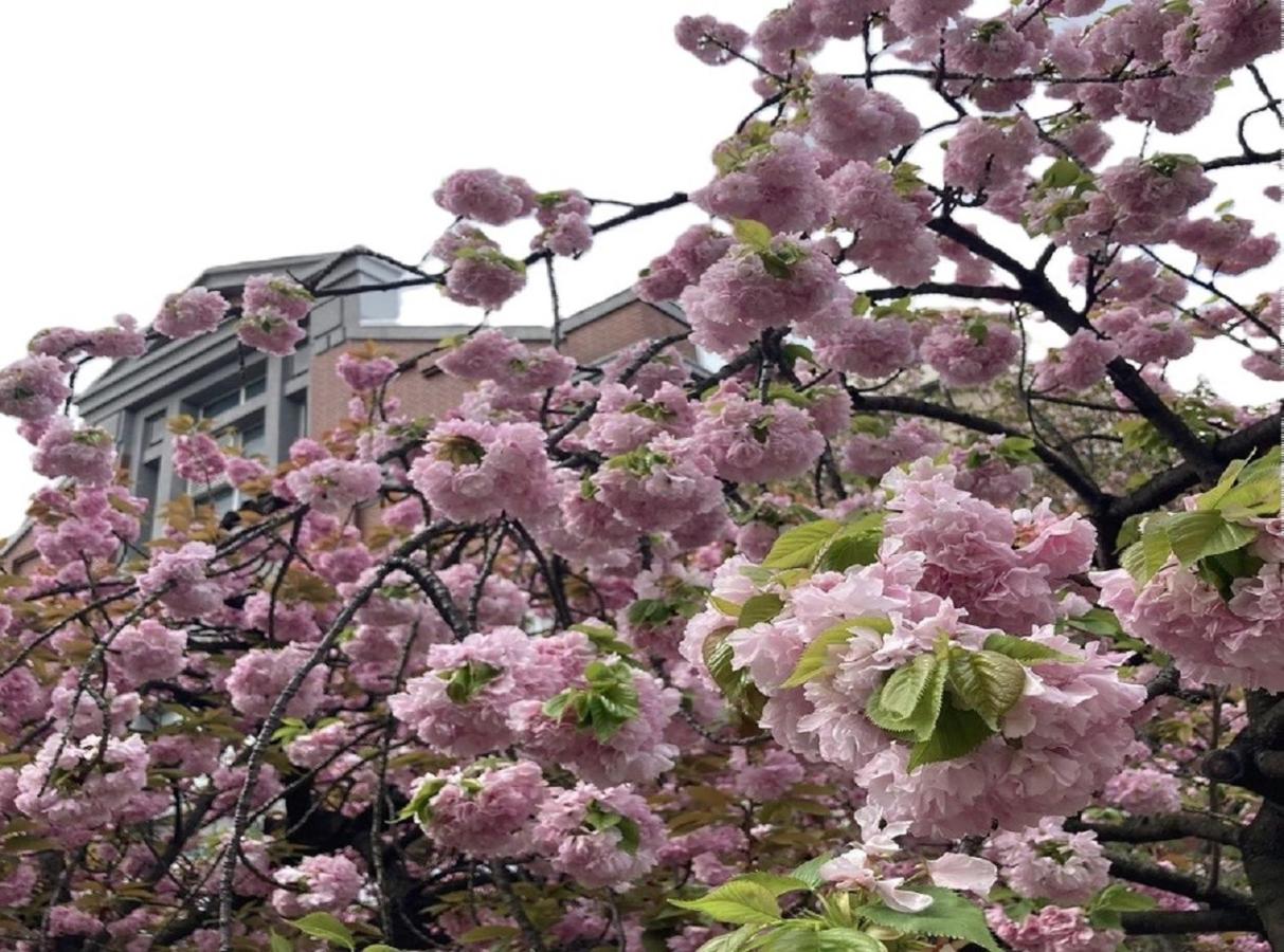 Hotel Monterey Le Frere Osaka - 3