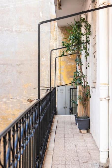 colosseo view apartment - 5