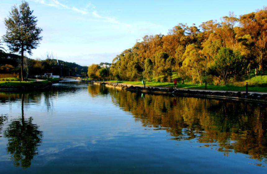 River View Luxury Apartment - 4