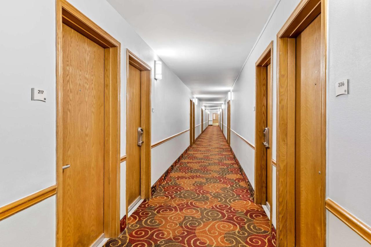 Arrival Inn — photo 15