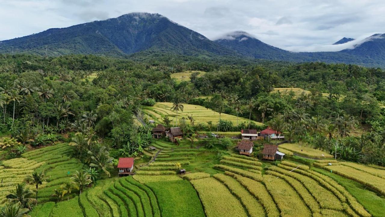 D'Ume Bendoel Homestay